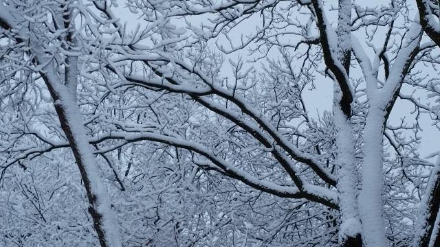 Closing and Delays for 1/23/26